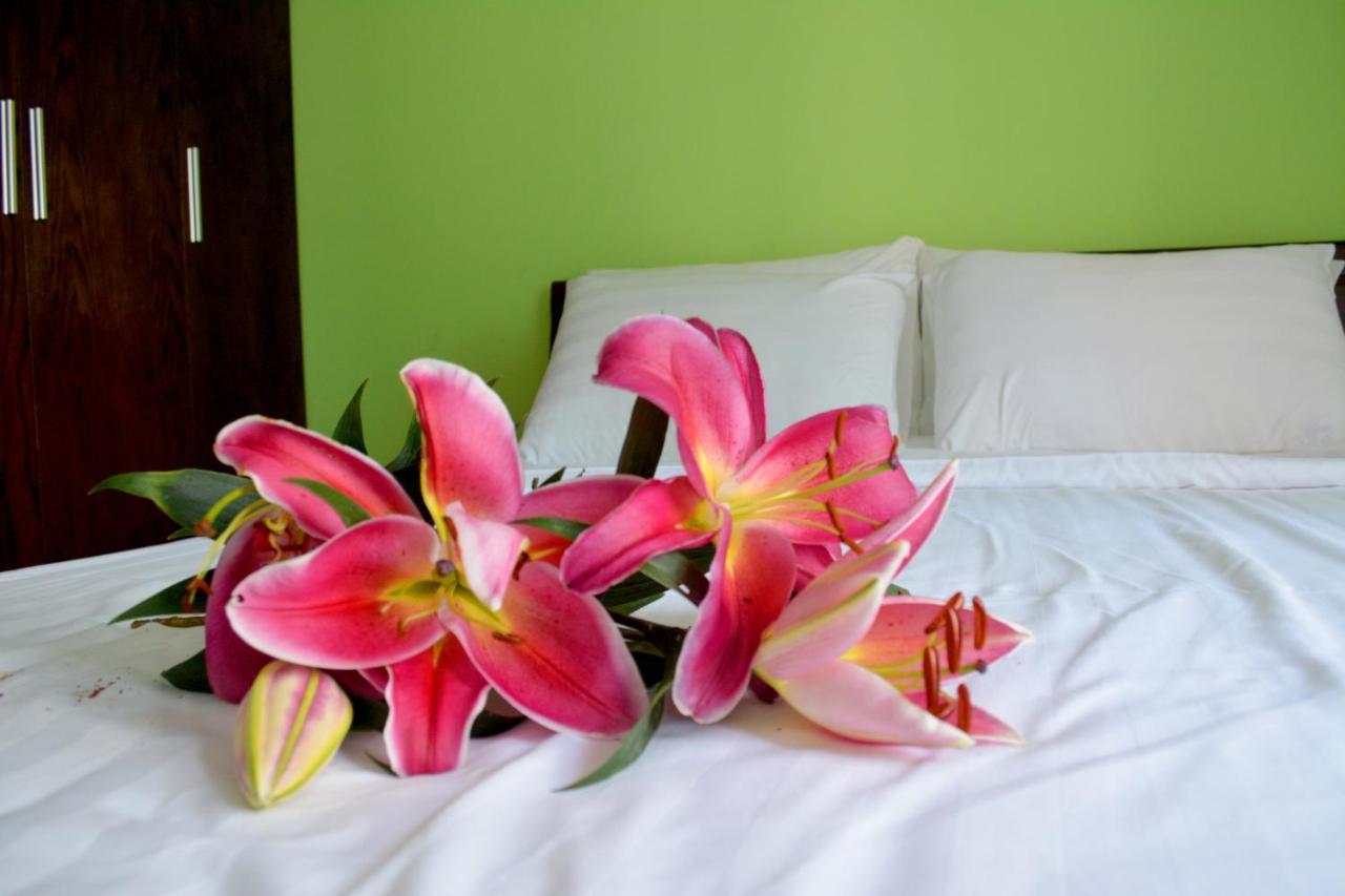 Boutique La Hotel 2*