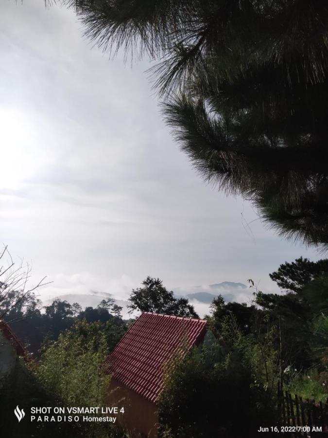 Paradiso Măng đen * Kon Von Kla