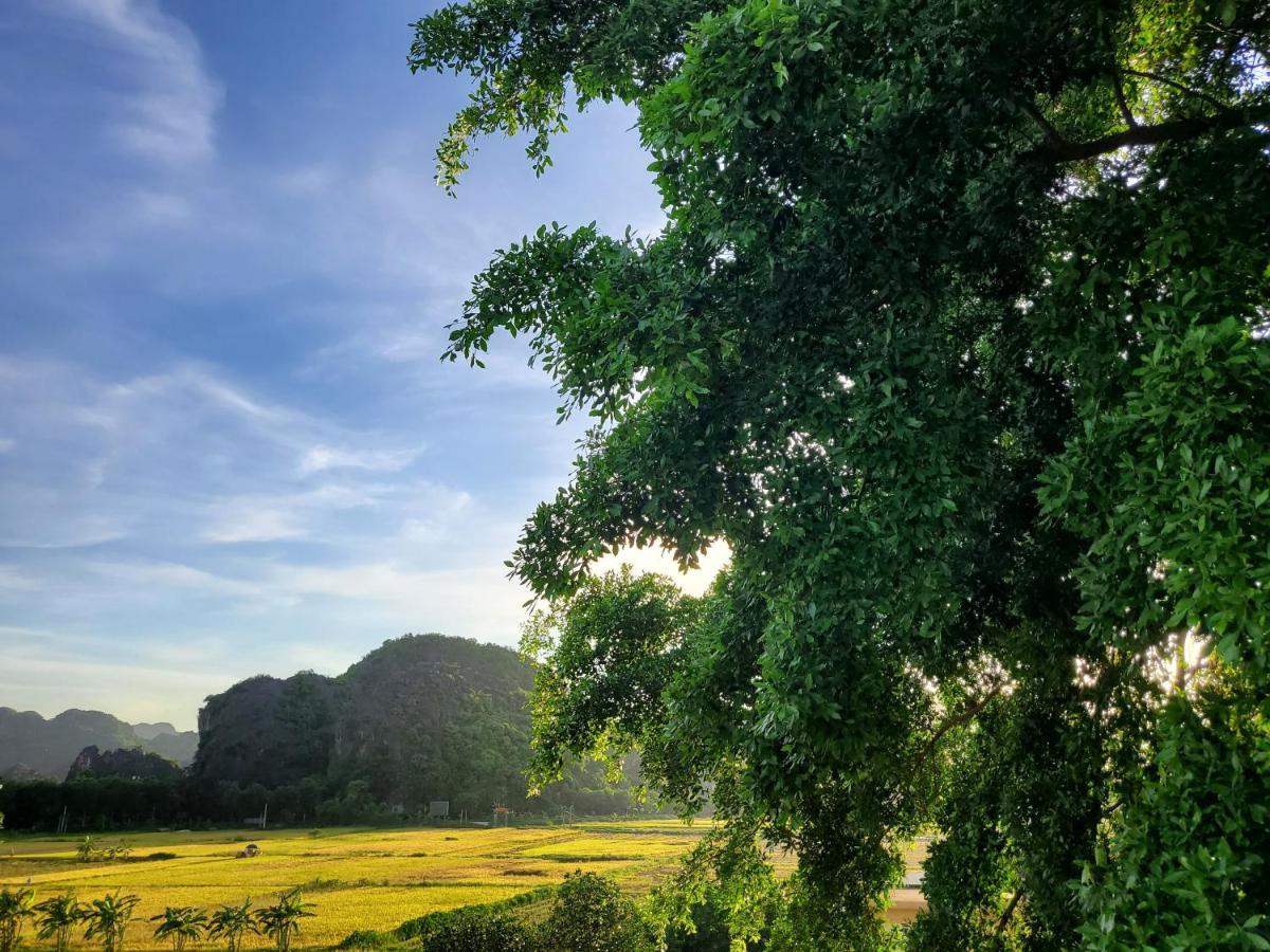 Bamboo Hill Bed & Breakfast