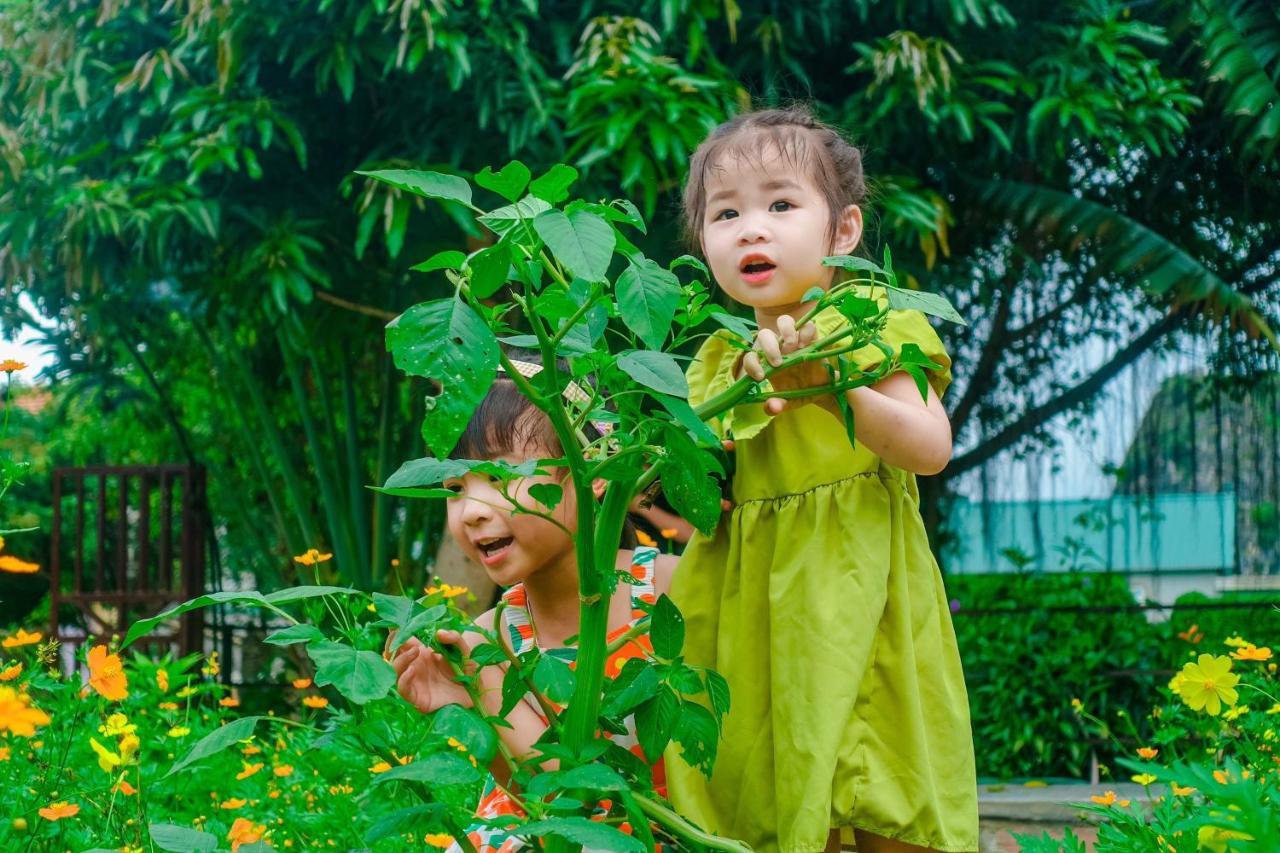 Mountain Side Homestay&cafe Ninh Binh