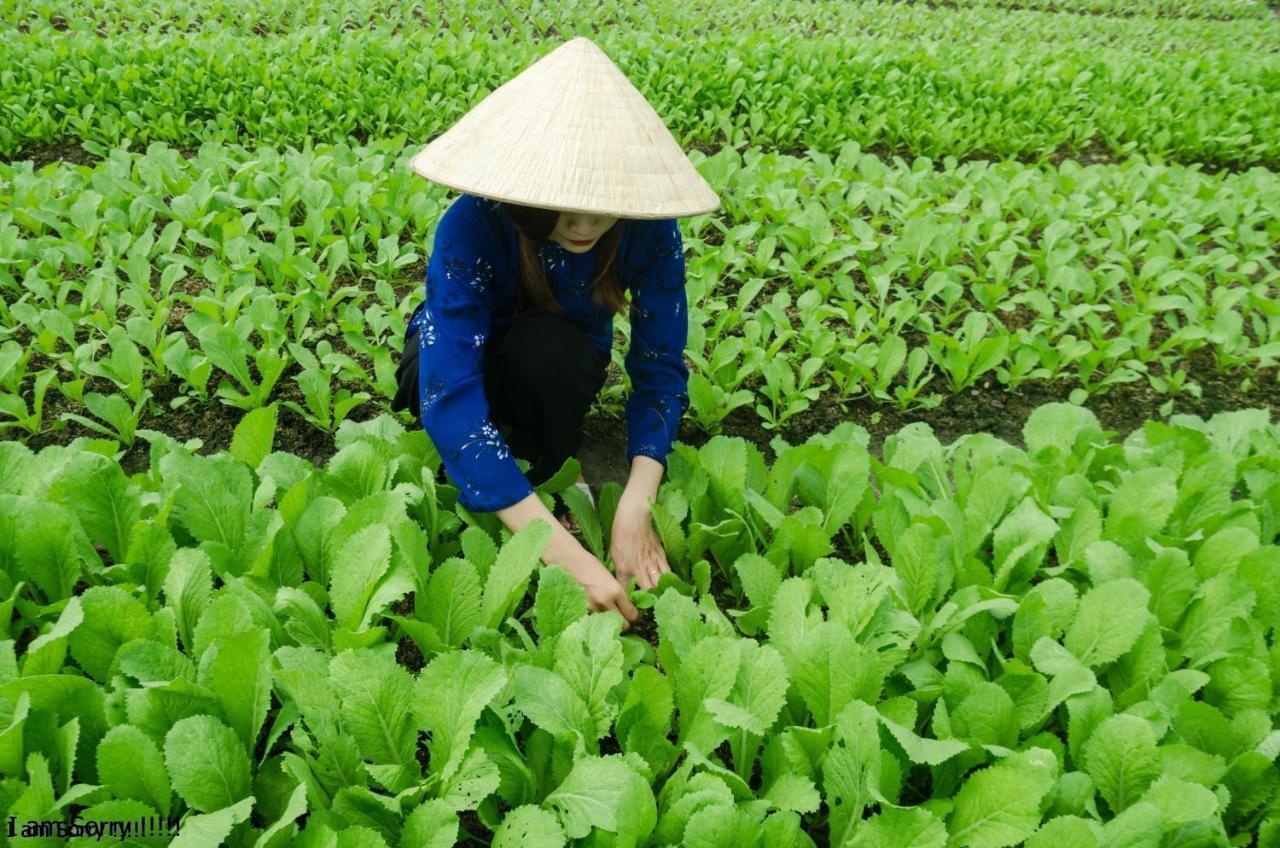 Chez Xuan - Private Hoian *