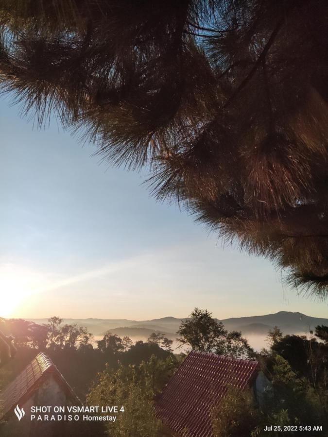 Paradiso Măng đen Ở trọ Kon Von Kla