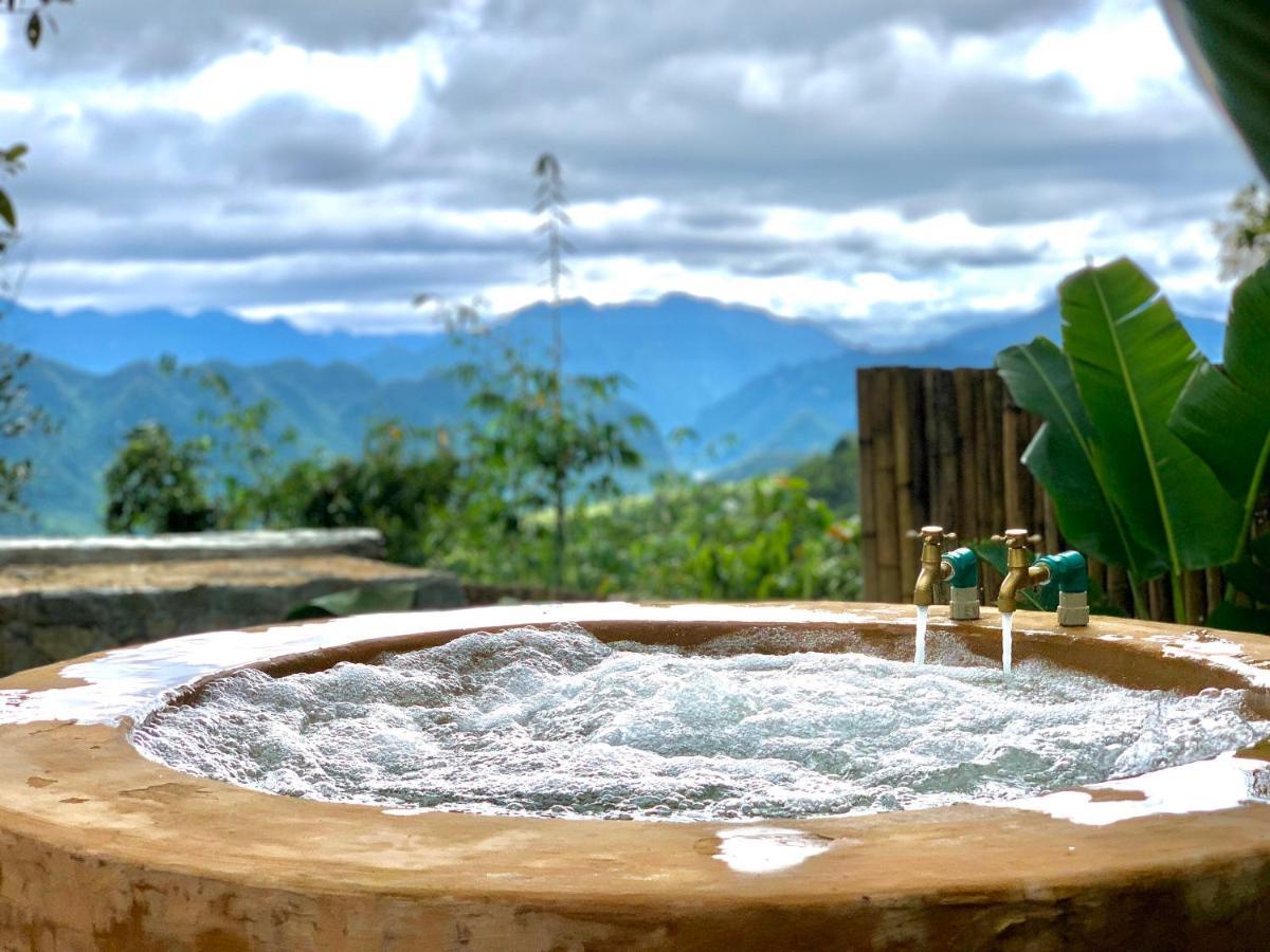 Eco Garden 3*