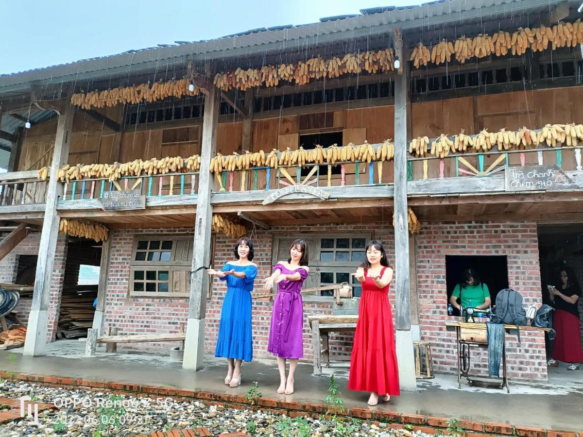 Big View Homestay, Tour & Vegetarian *