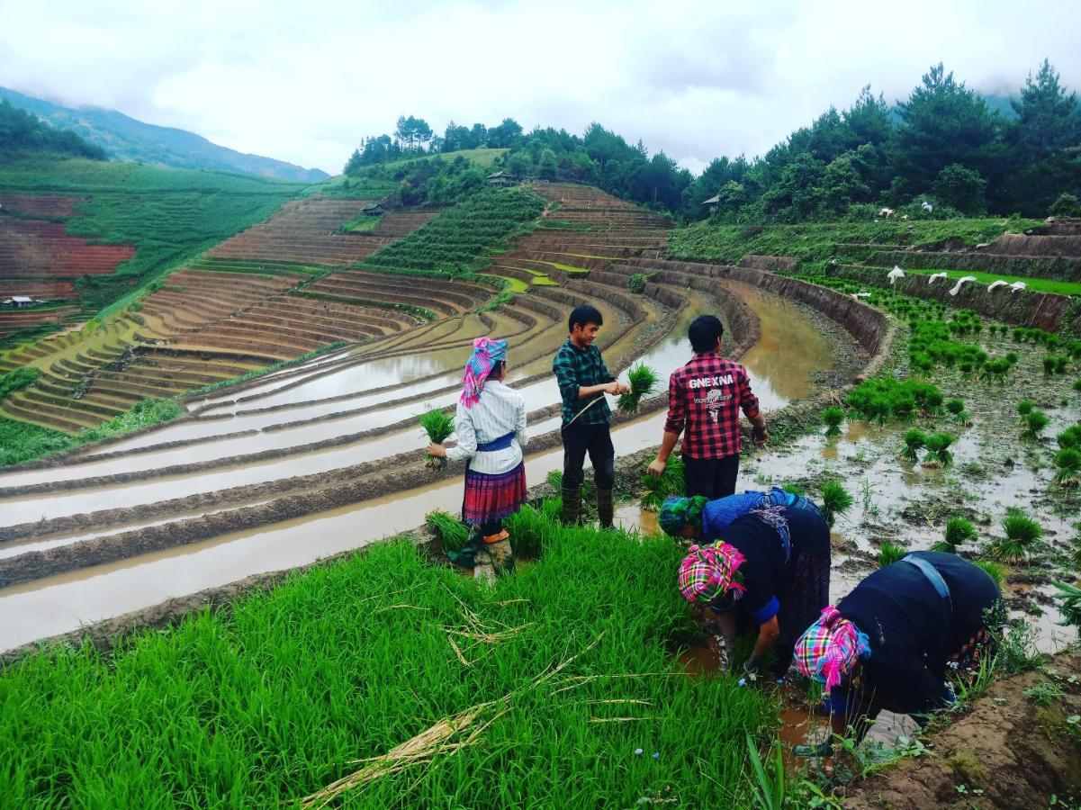 Big View Homestay, Tour & Vegetarian