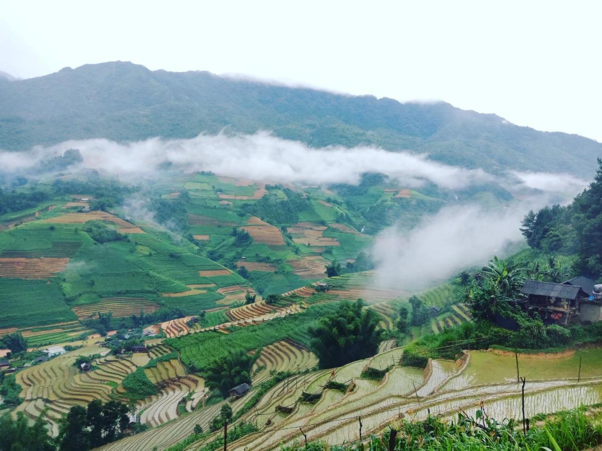 Guest house Big View Homestay, Tour & Vegetarian *