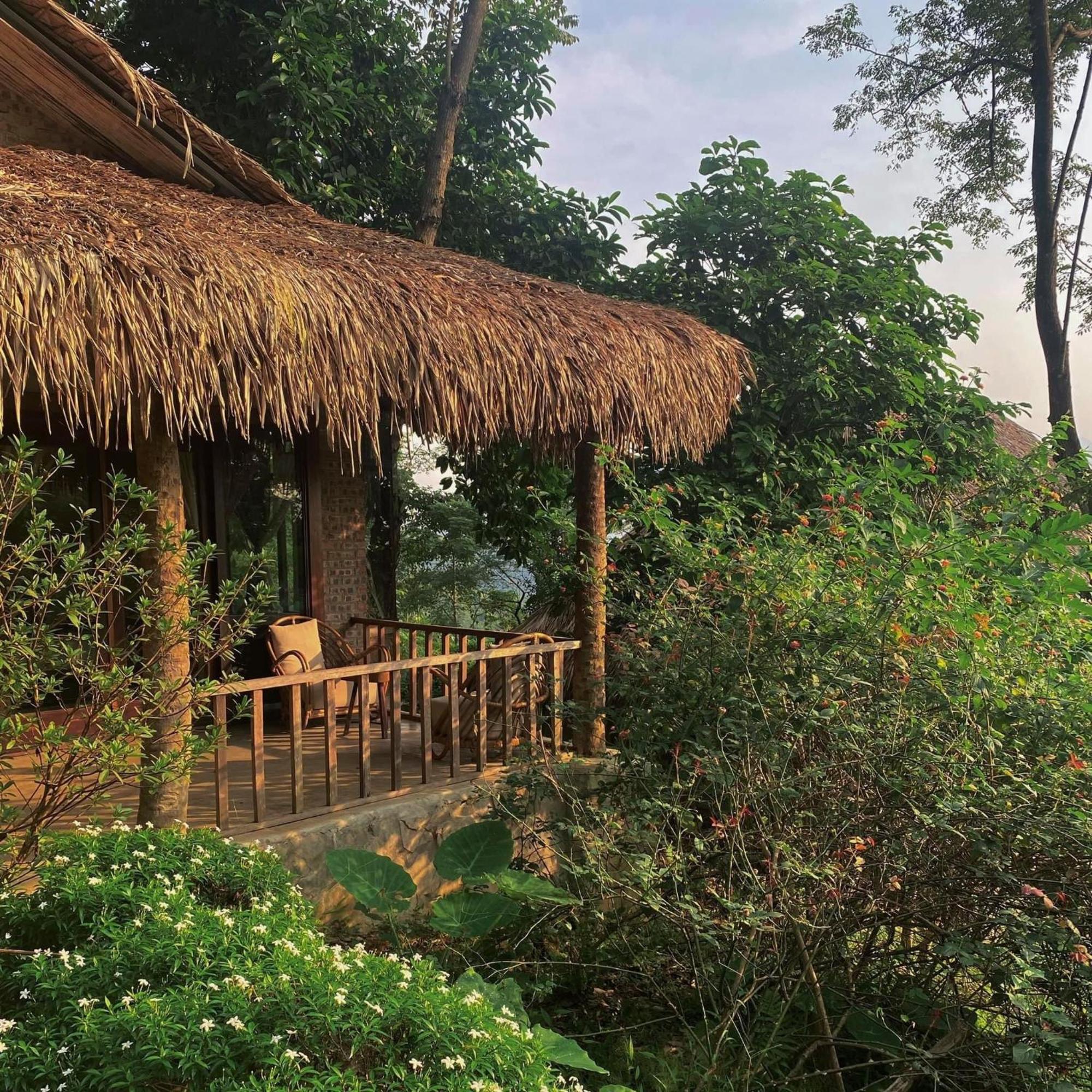 Eco Garden