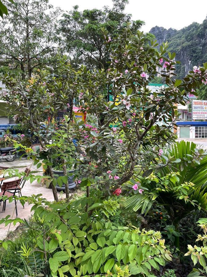 Phong Nha Green Homestay *