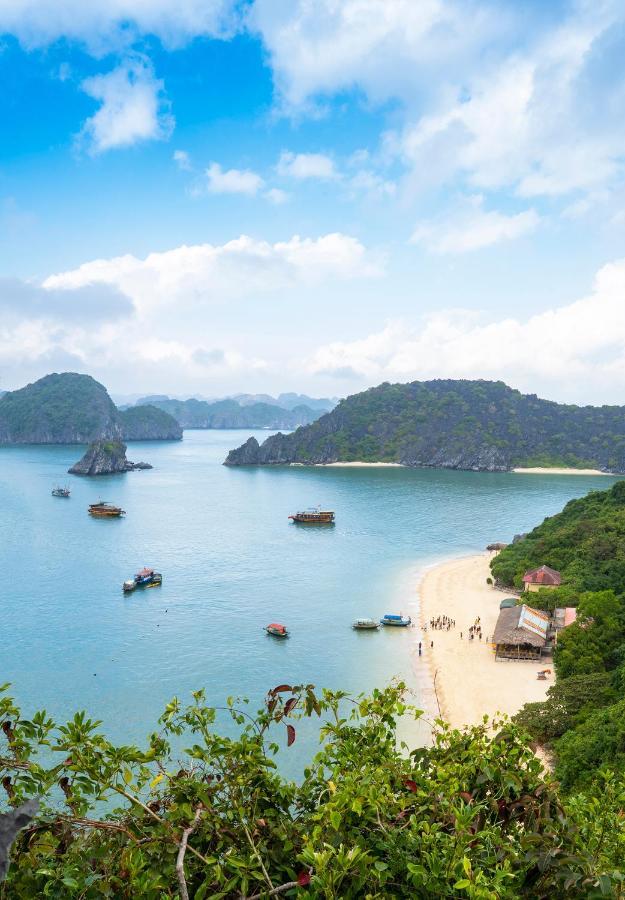  Du Thuyền Fantasea 2*