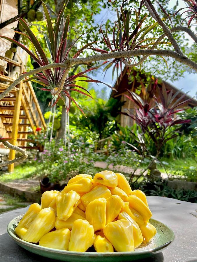 Hotel Trang An Lamia