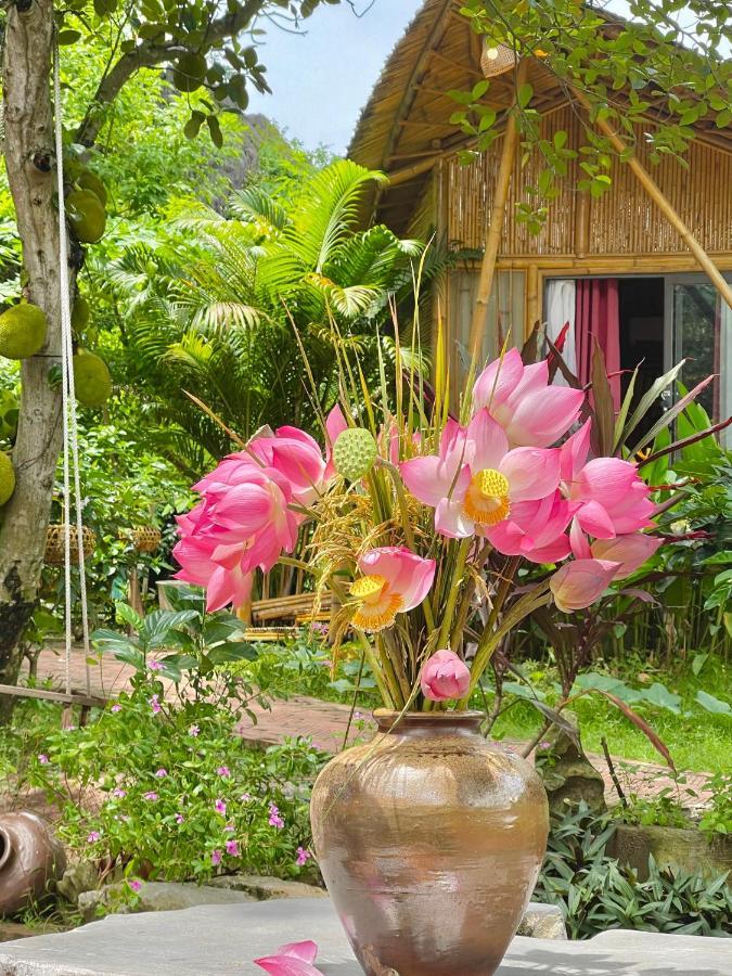 Trang An Lamia Hotel Ninh Binh