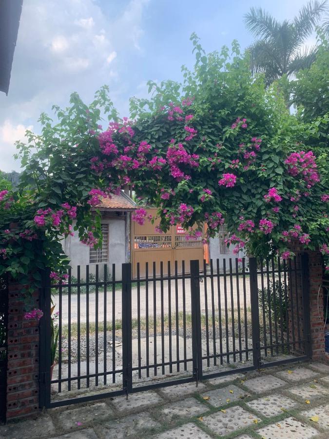 Tam Coc Elegance House Homestay *