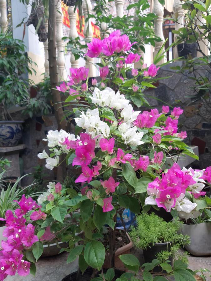 Mai Place 2* Ninh Binh
