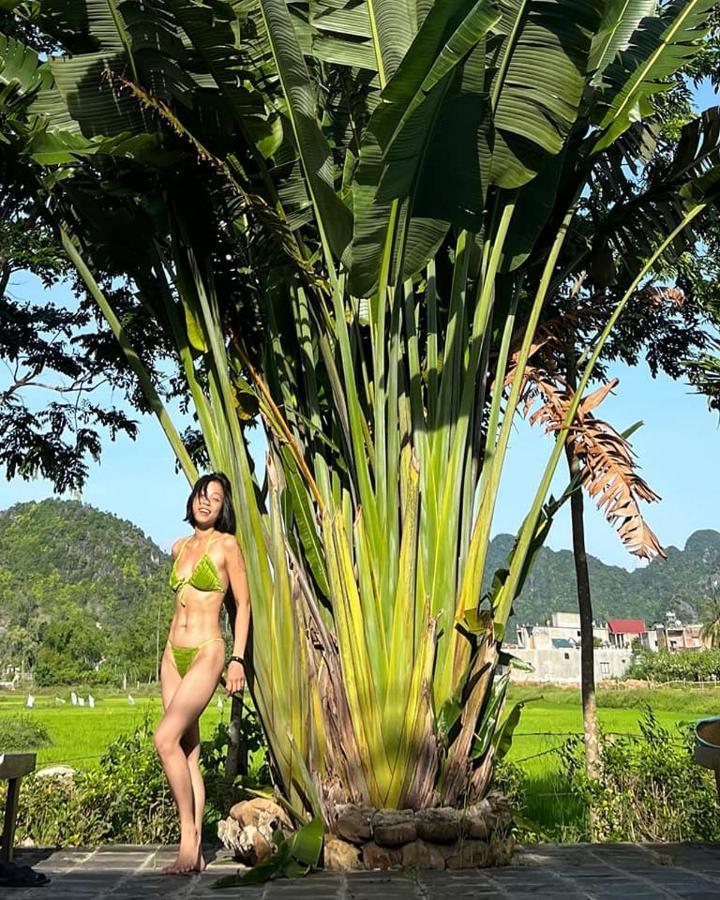 Jungle Boss Travel Homestay