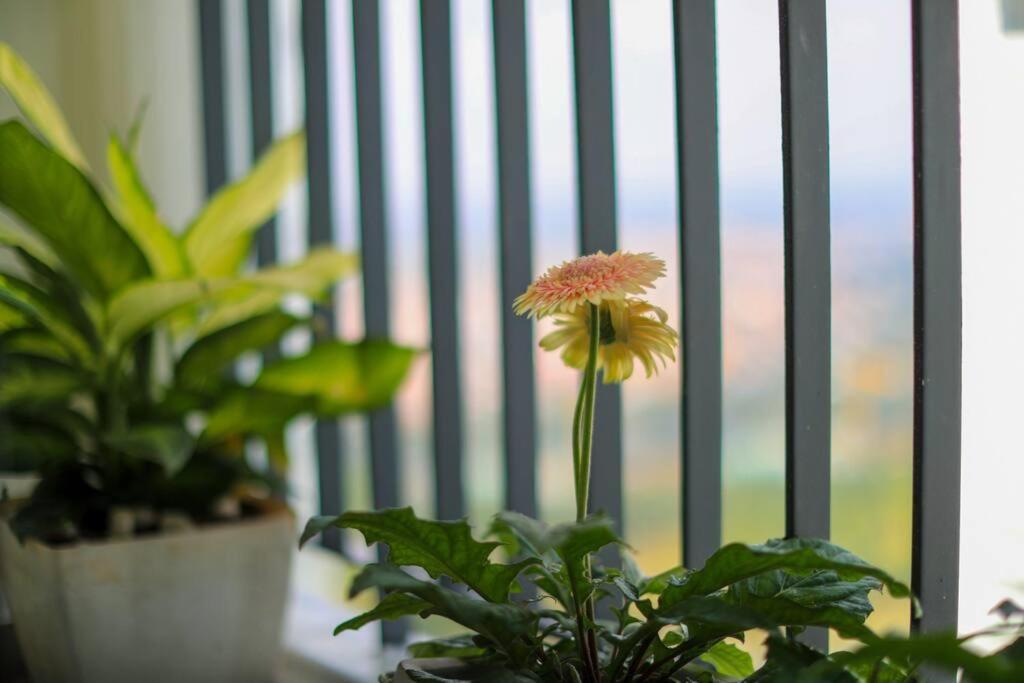 Thoc Ecopark Blue Home-1 Bed Apartment Cong Luan