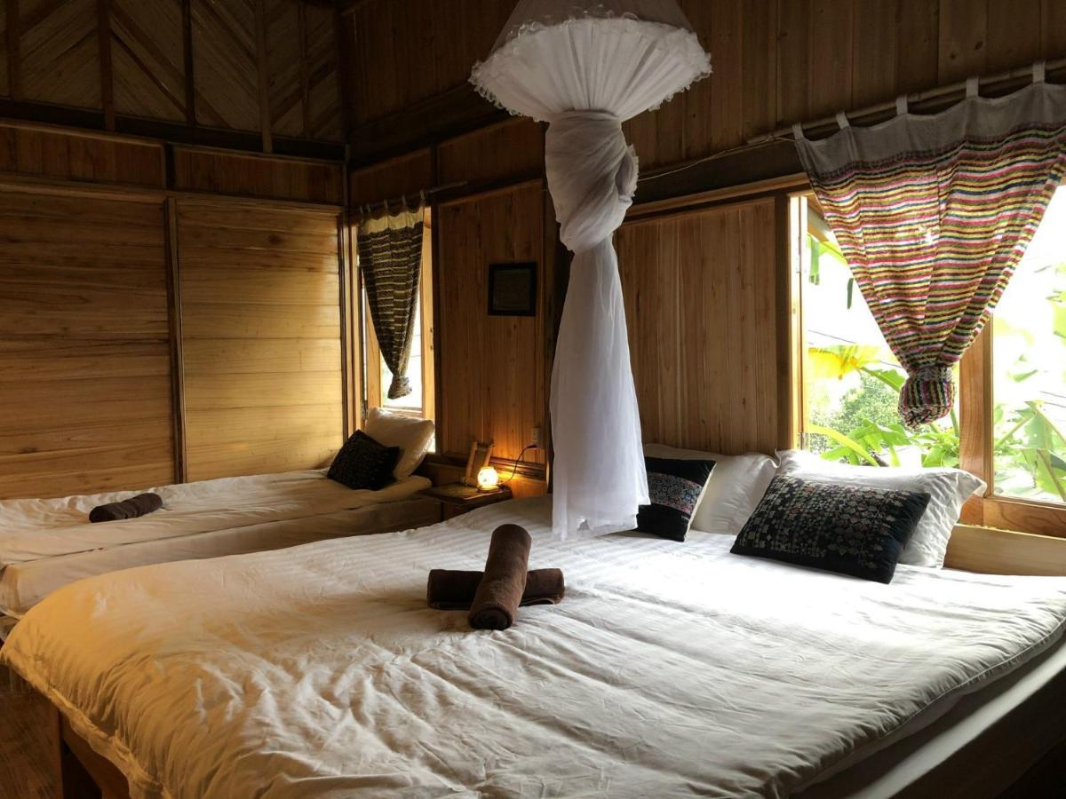 Luckydaisy Buffalo House *