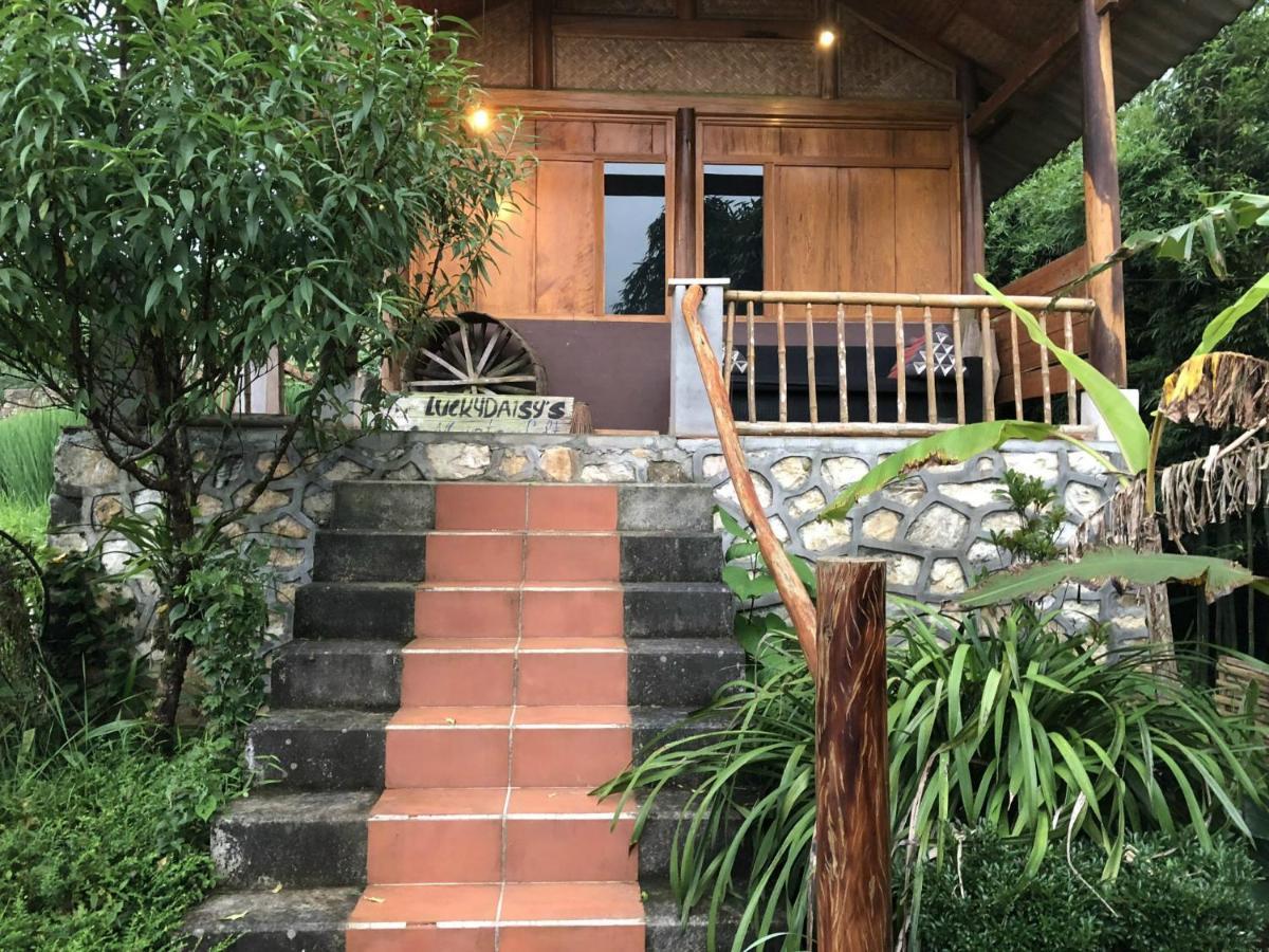 Luckydaisy Buffalo House Ở trọ *