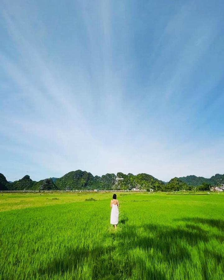Homestay Jungle Boss Travel Phong Nha