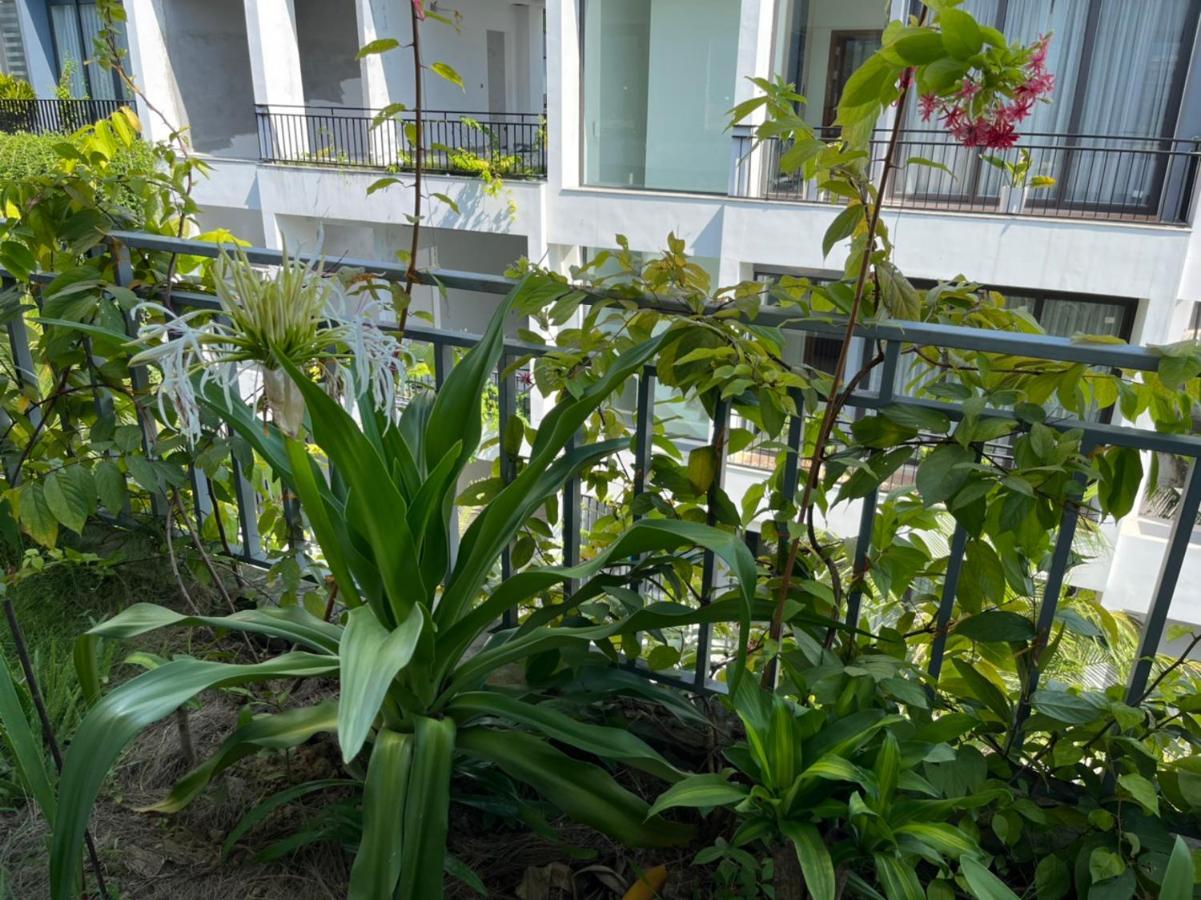 Friendly Sh Dai Lai 4 Phong Ngu Villa
