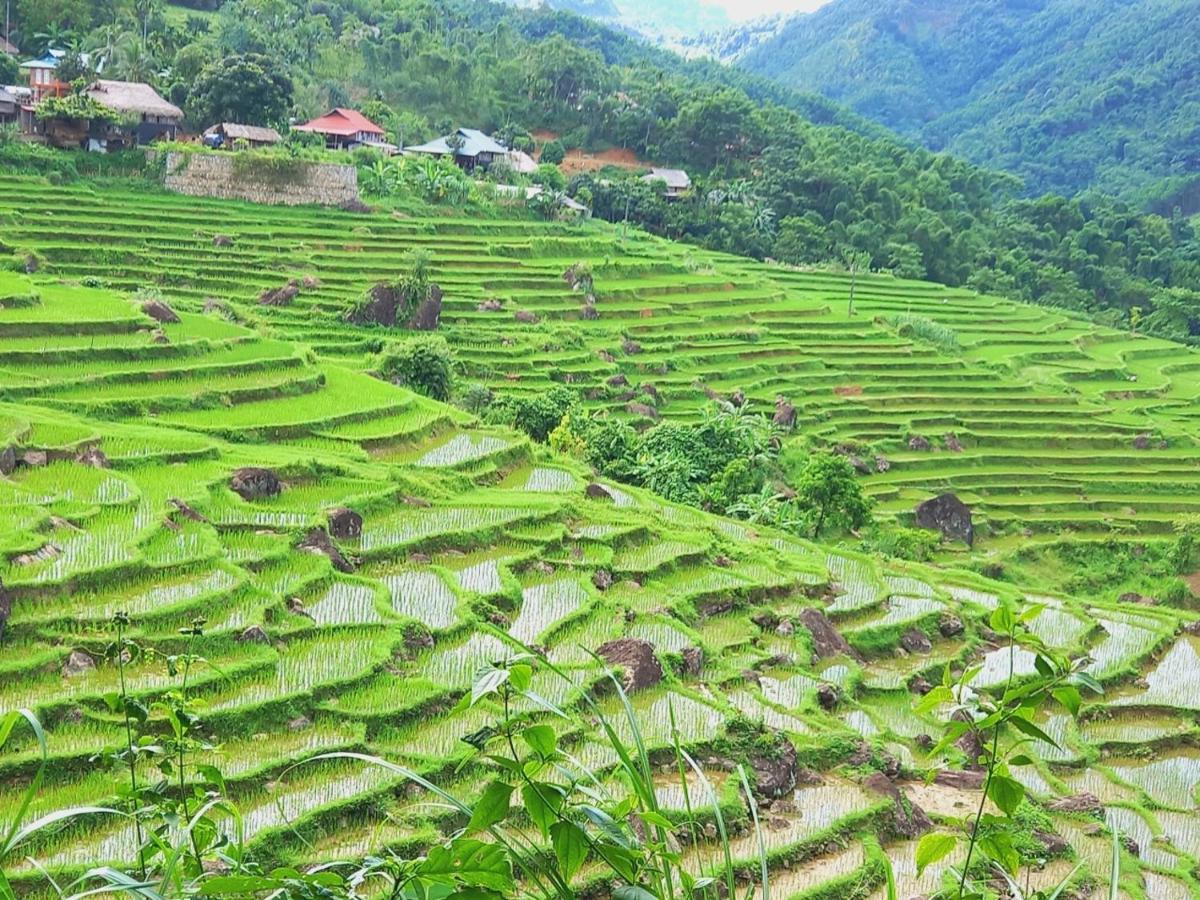 Nha Tan - And Tours Homestay Mai Chau
