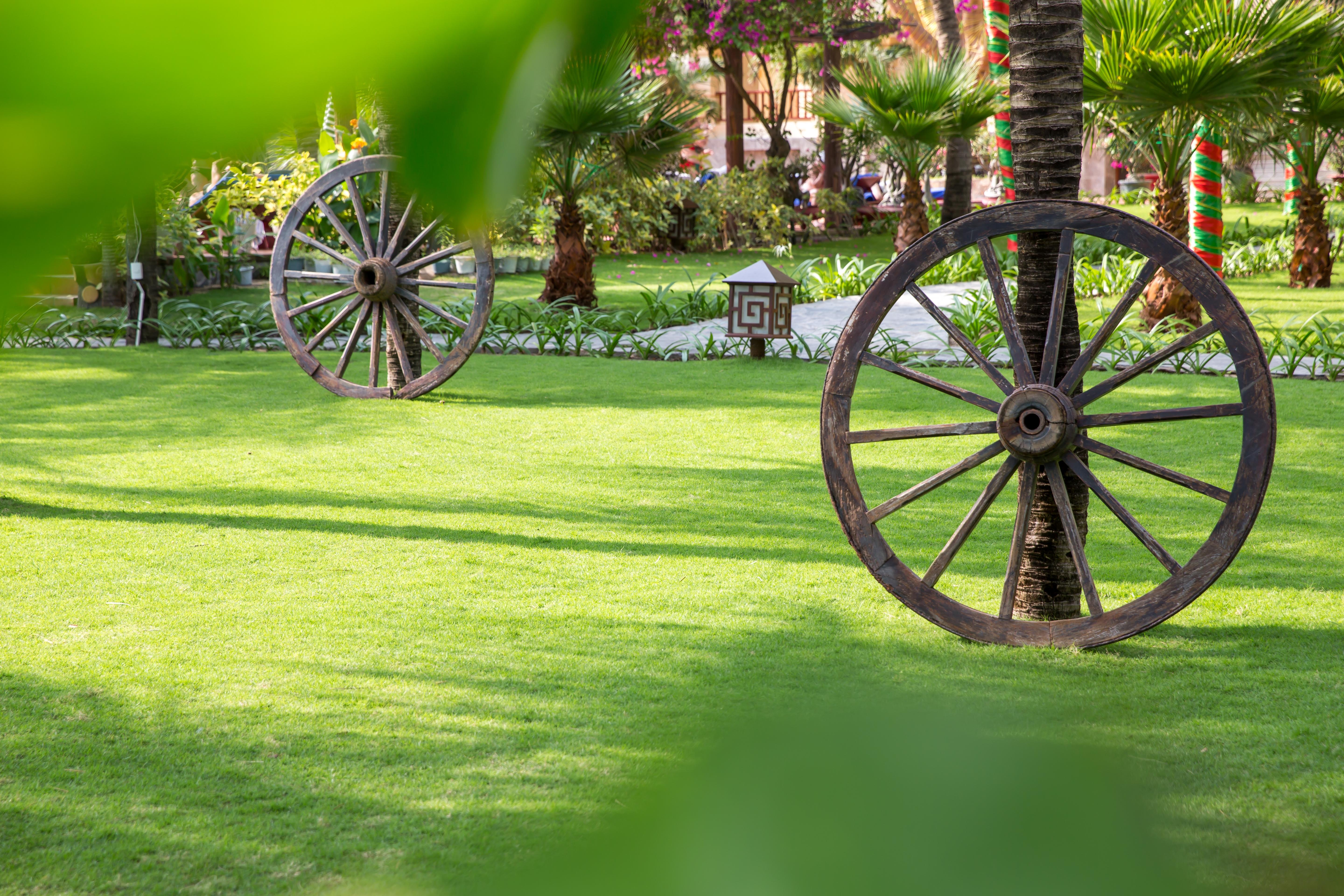 Sunny & Phan Thiết