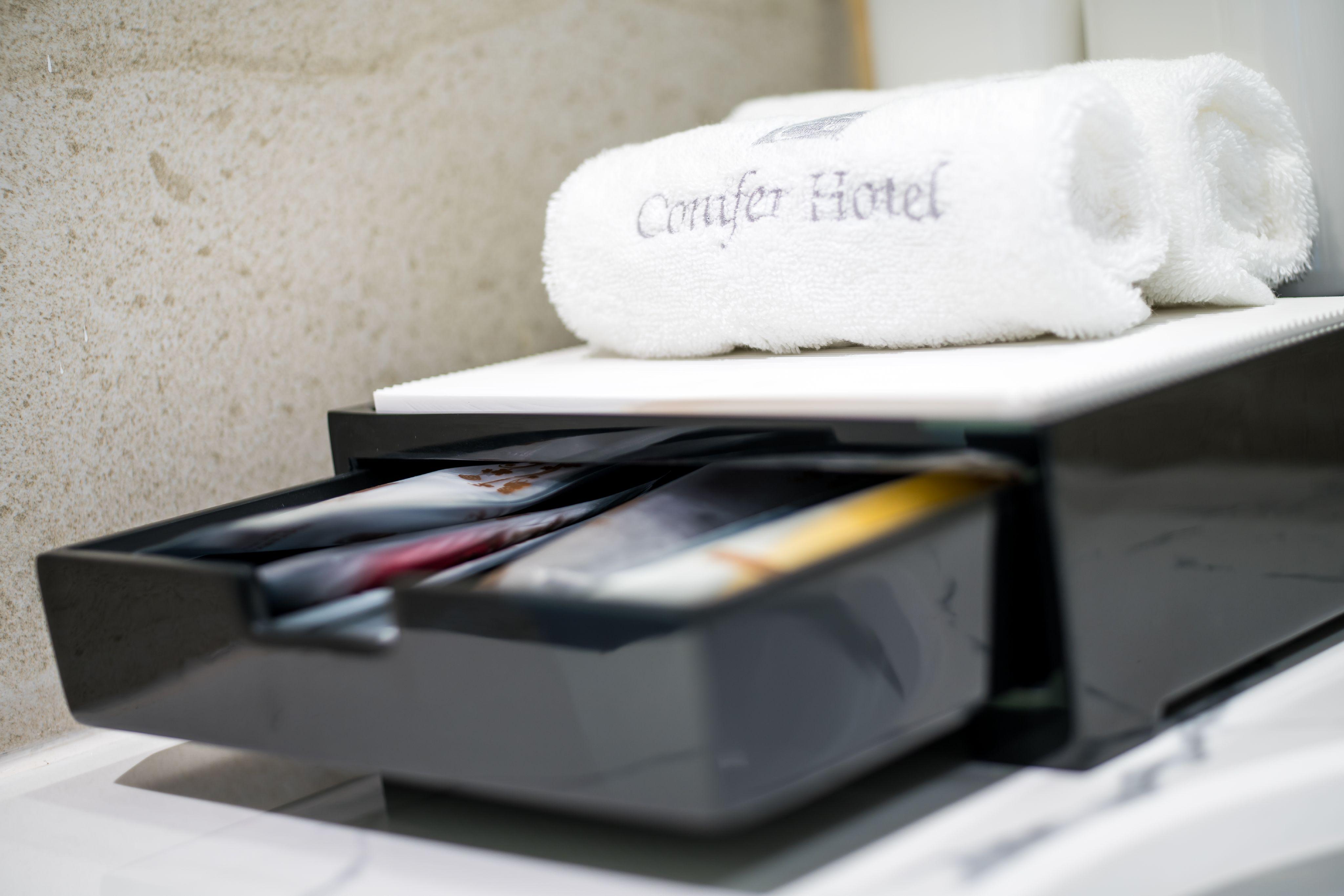 Hotel Conifer Grand 4*