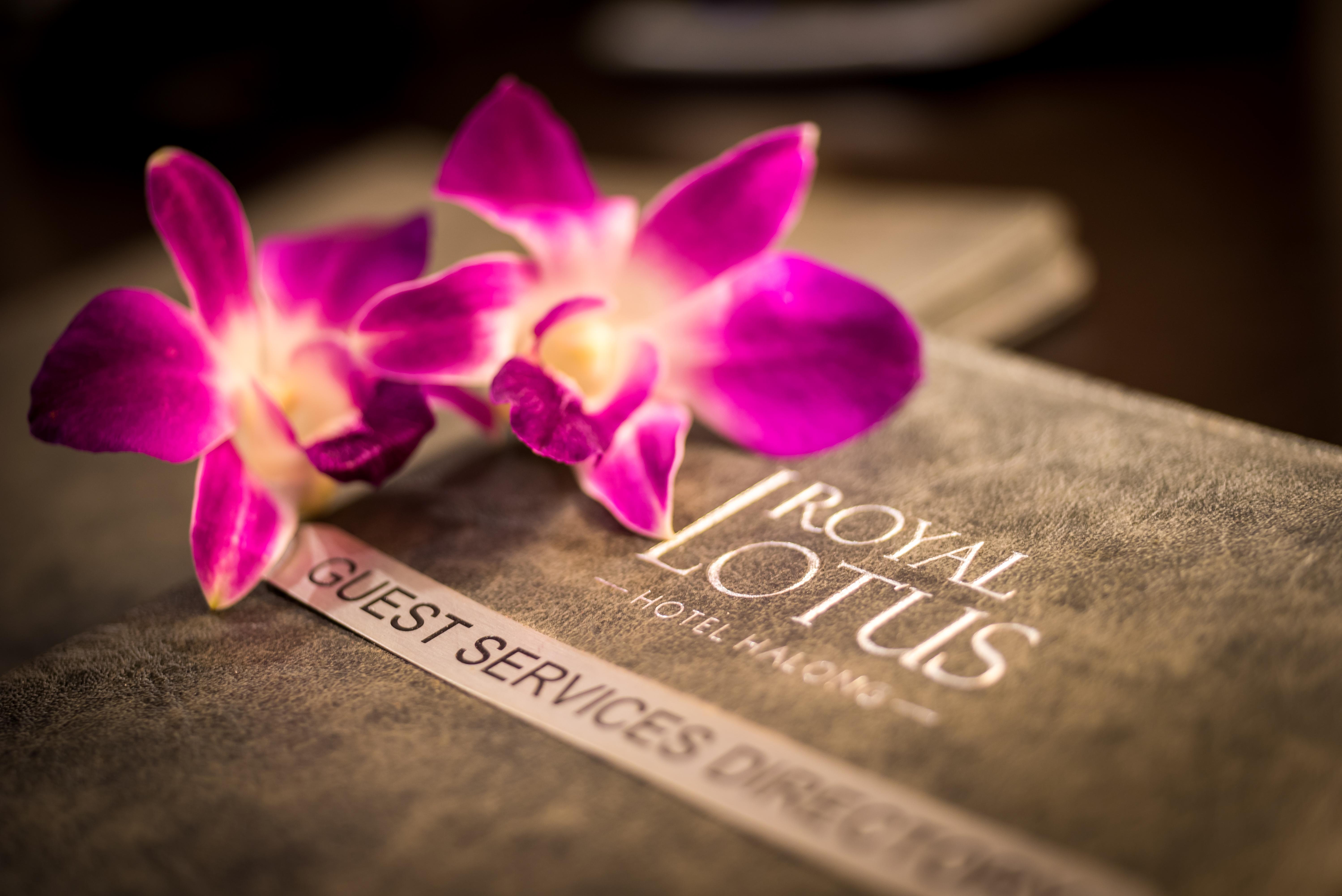 Hotel Royal Lotus Ha Long