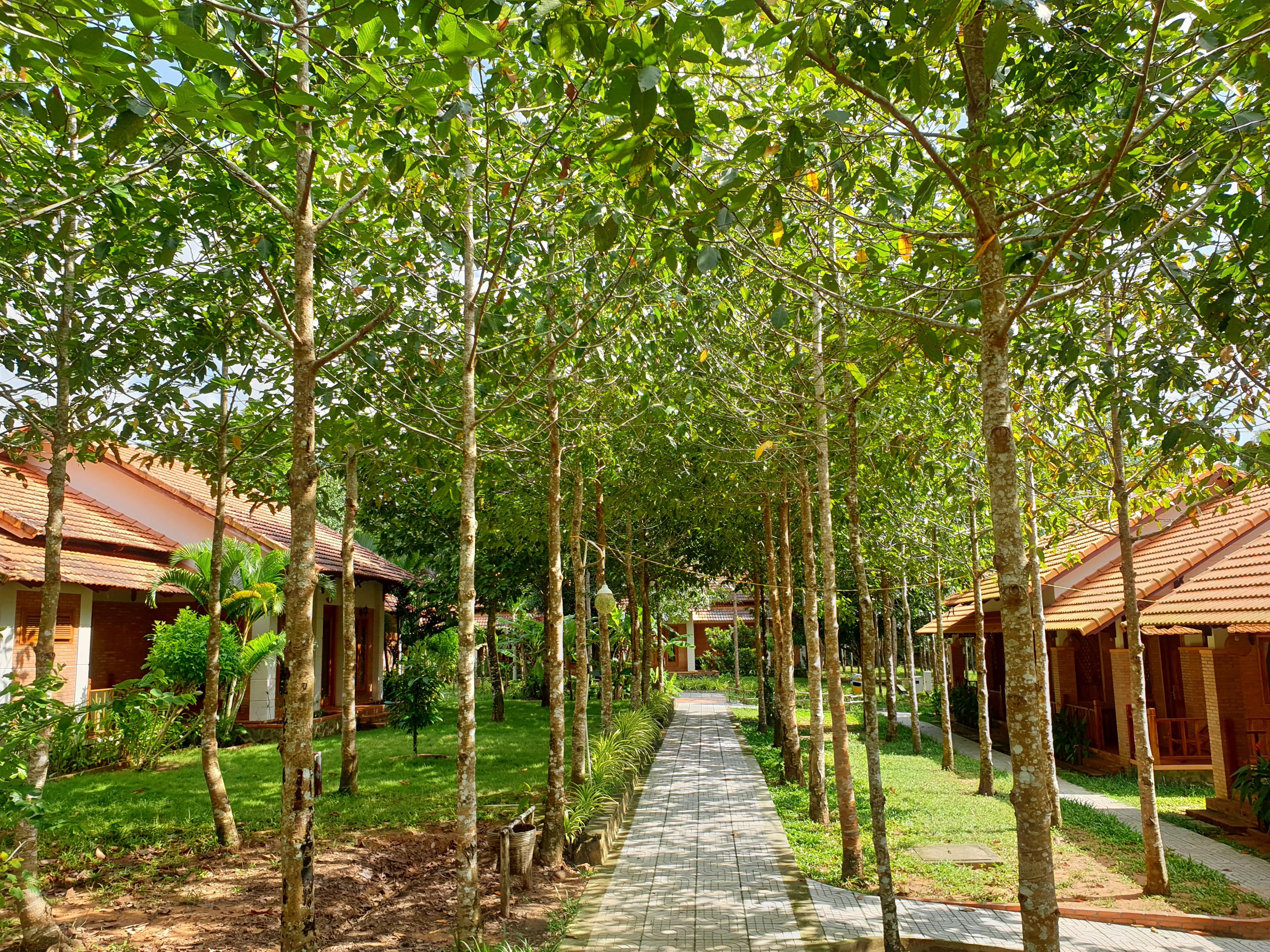 The Garden House