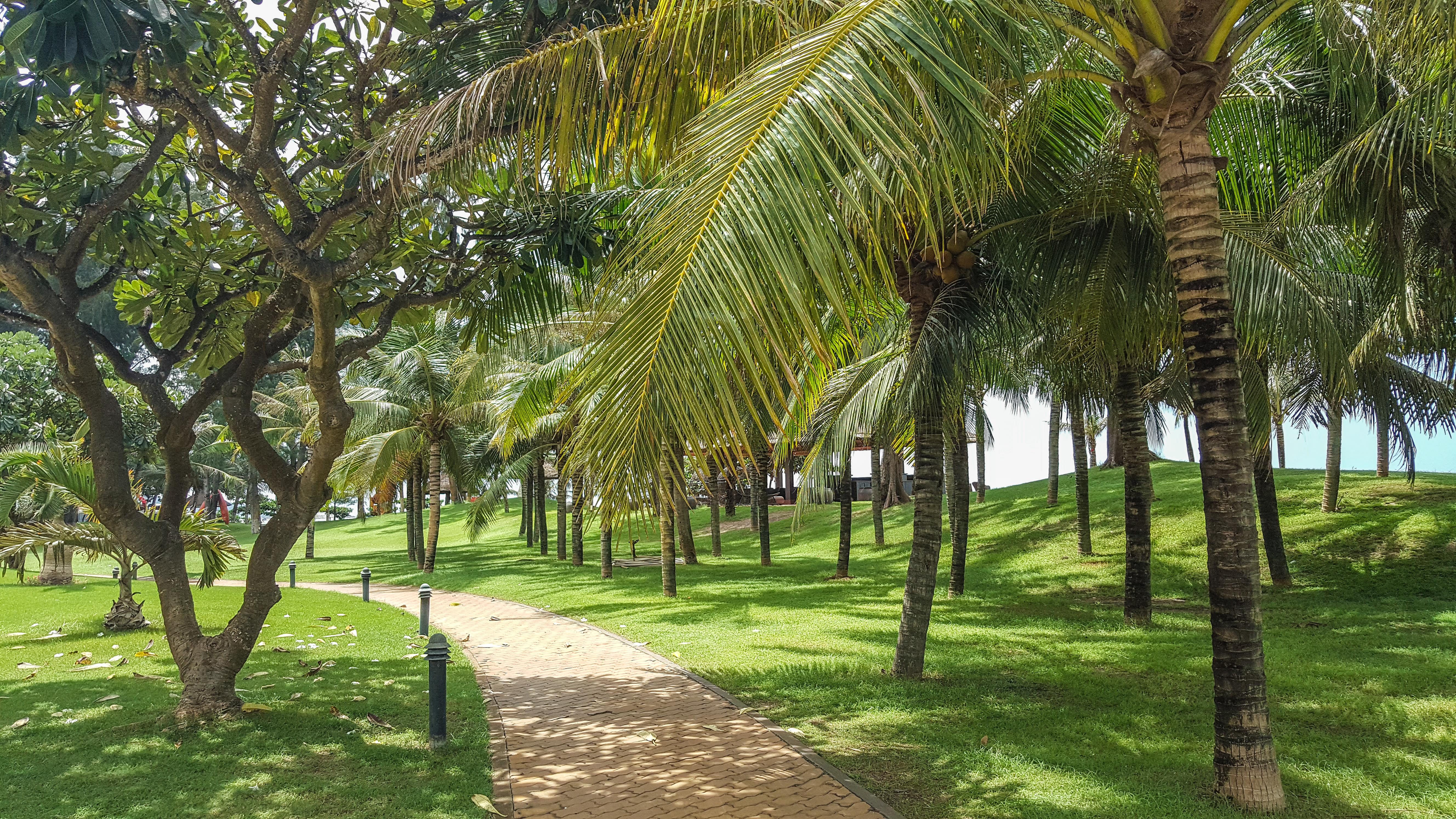 Ocean Dunes Phan Thiet