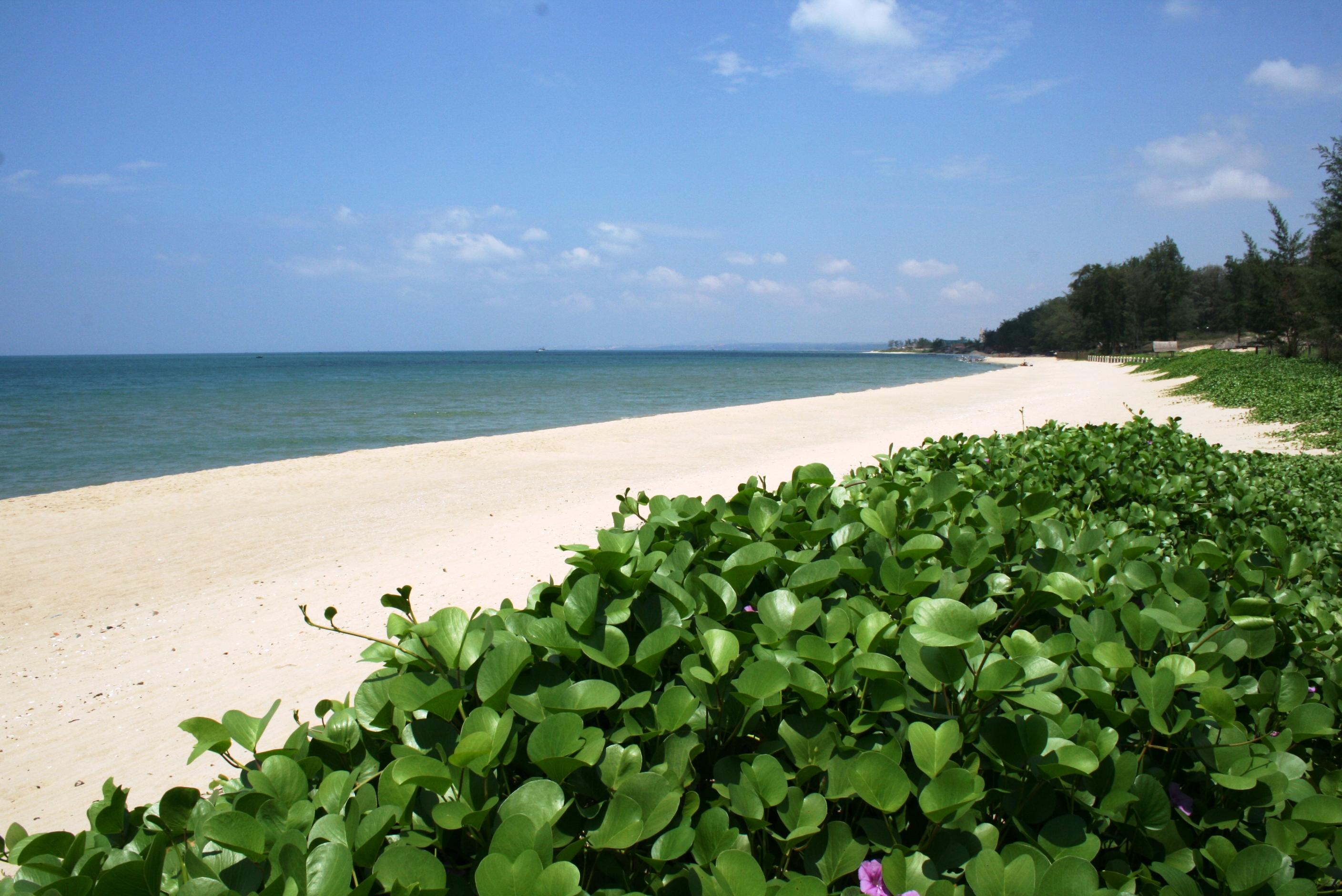Ocean Dunes