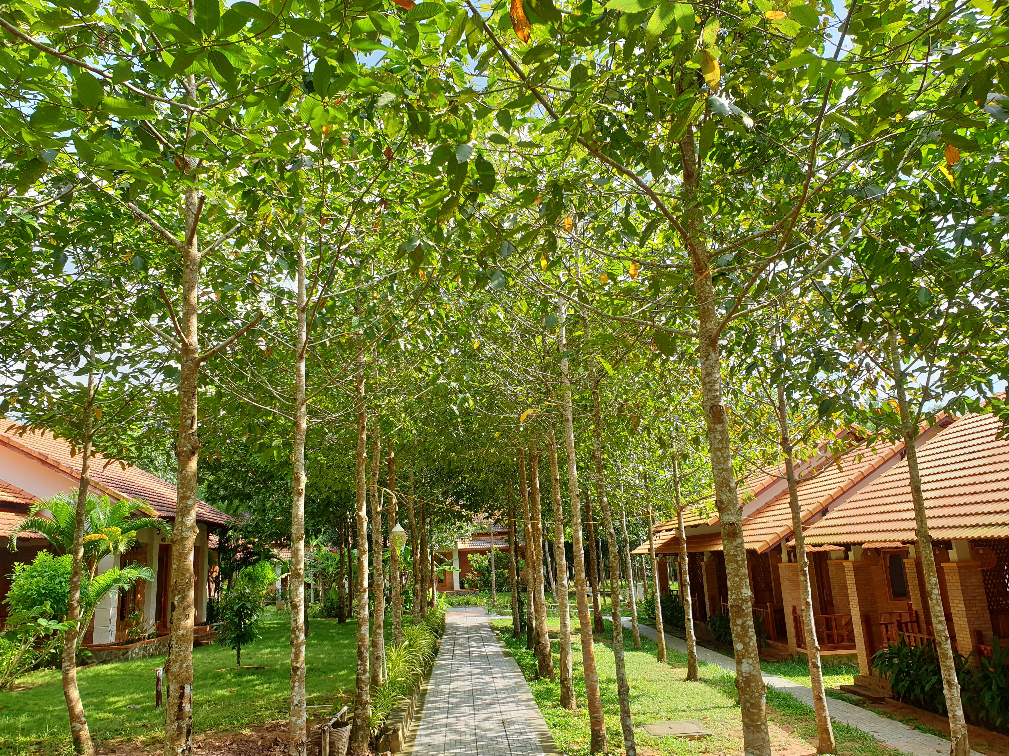 The Garden House 3* Phú Quốc