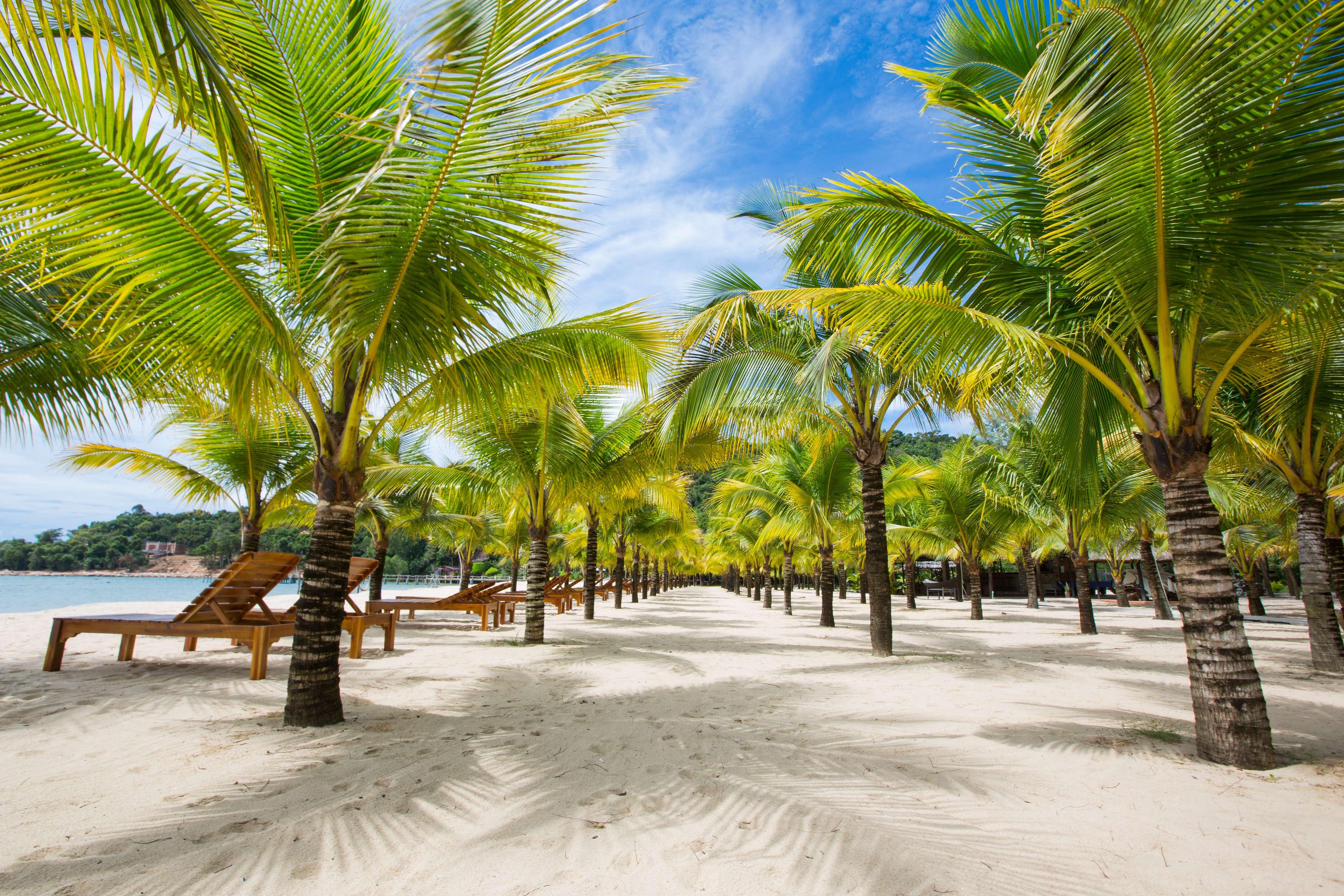 Dưỡng Bãi Biển Chez Carole 4*