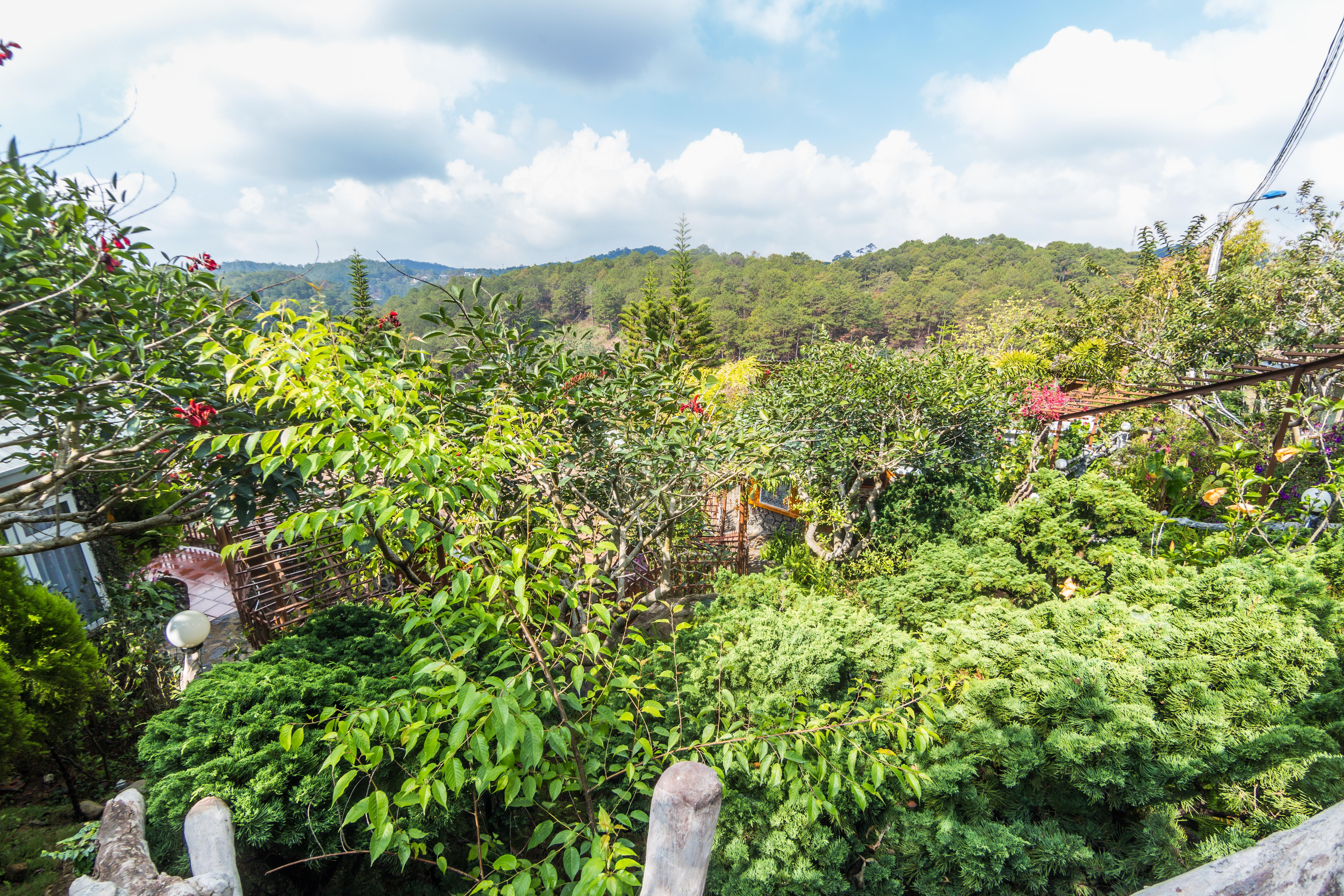 Zen Valley 3* Da Lat