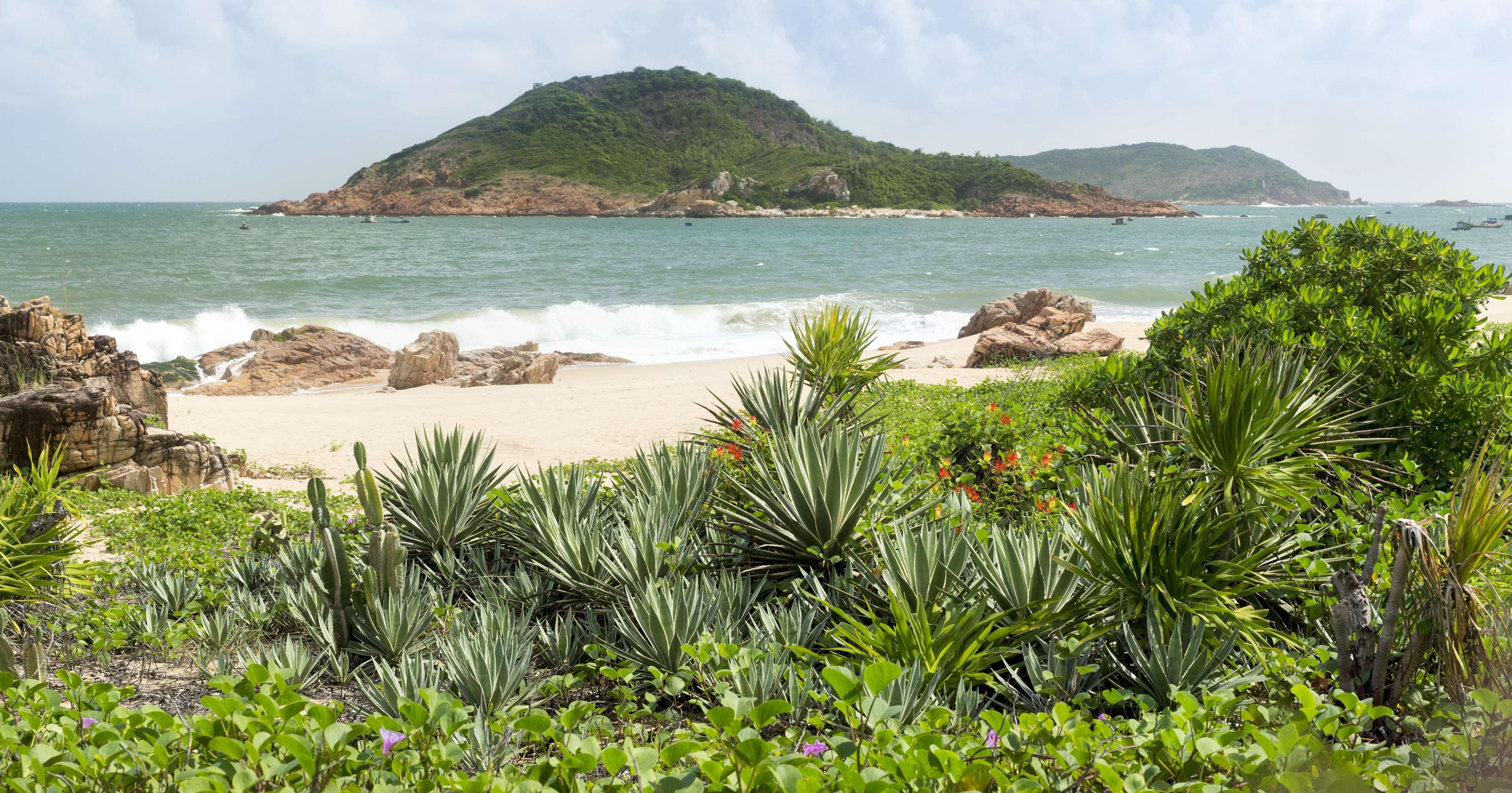 Resort Avani
