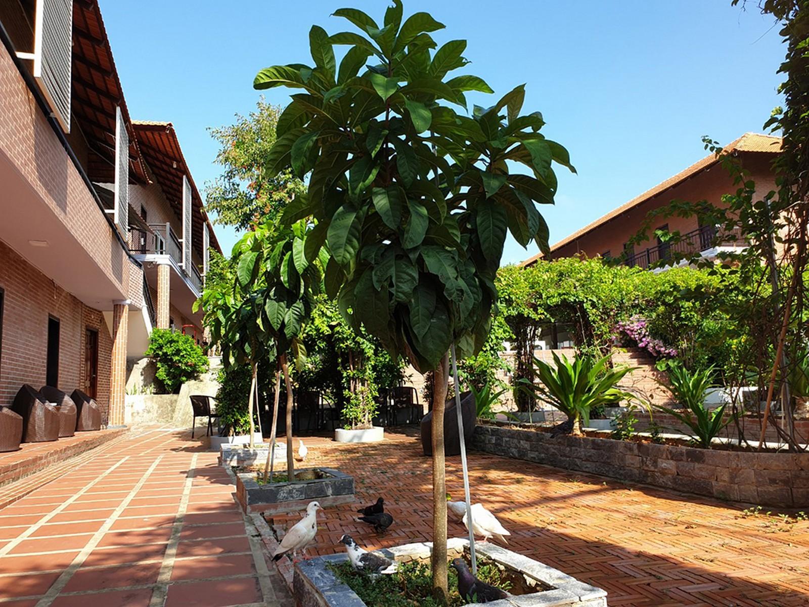 Countryside Resort