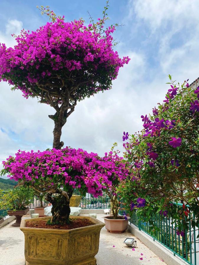 Nang Mai Homestay Da Lat