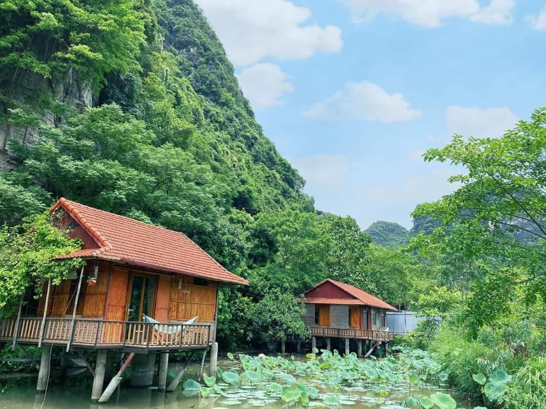 Lotus Field Privatunterkunft Ninh Binh