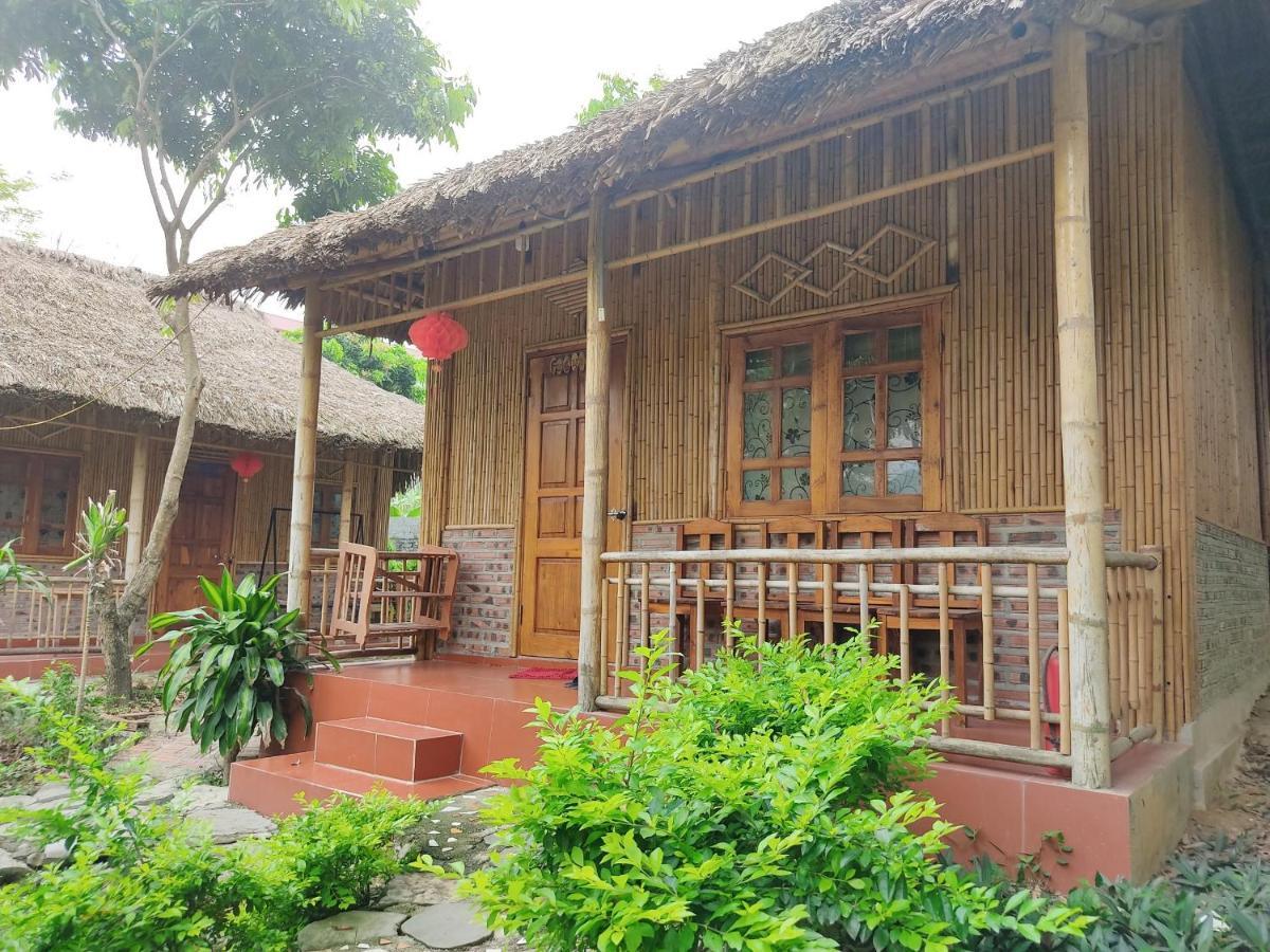 Bamboo * Ninh Binh