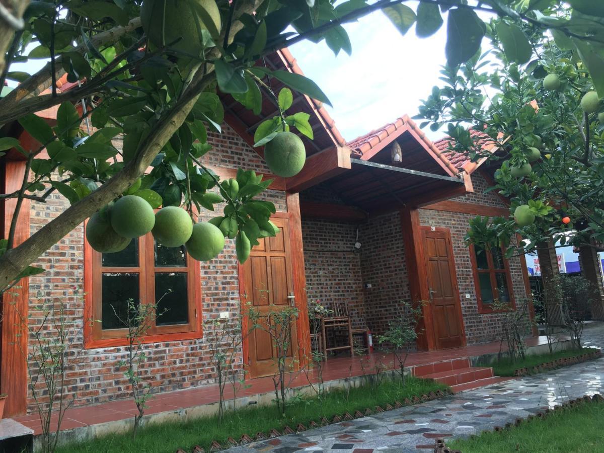 Tam Coc Thanh Homestay