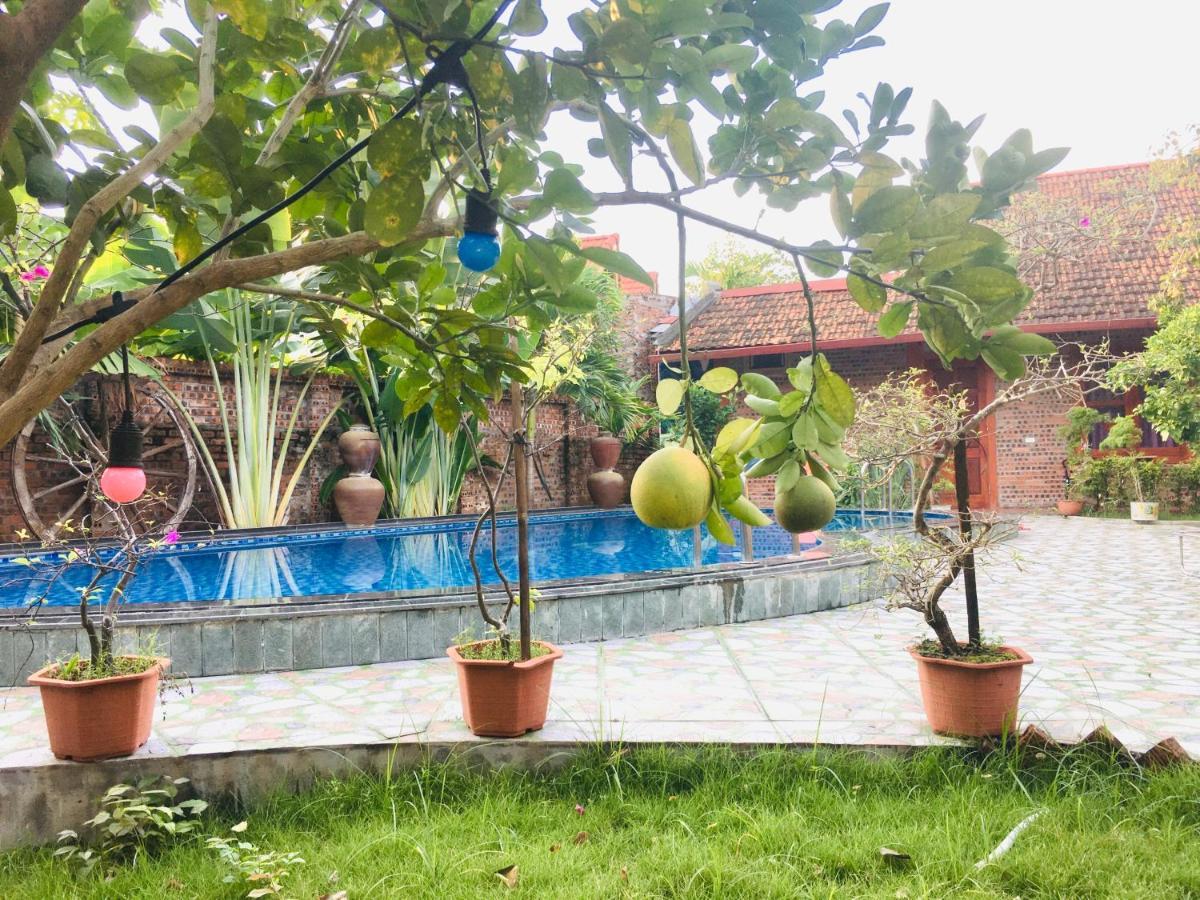 Tam Coc Thanh Homestay *
