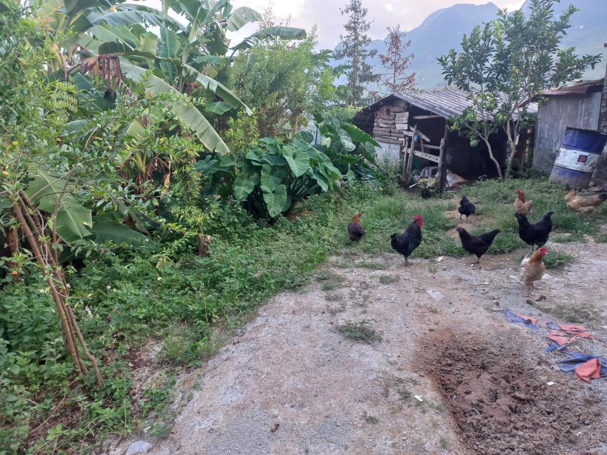 Hoang Vu Lodge