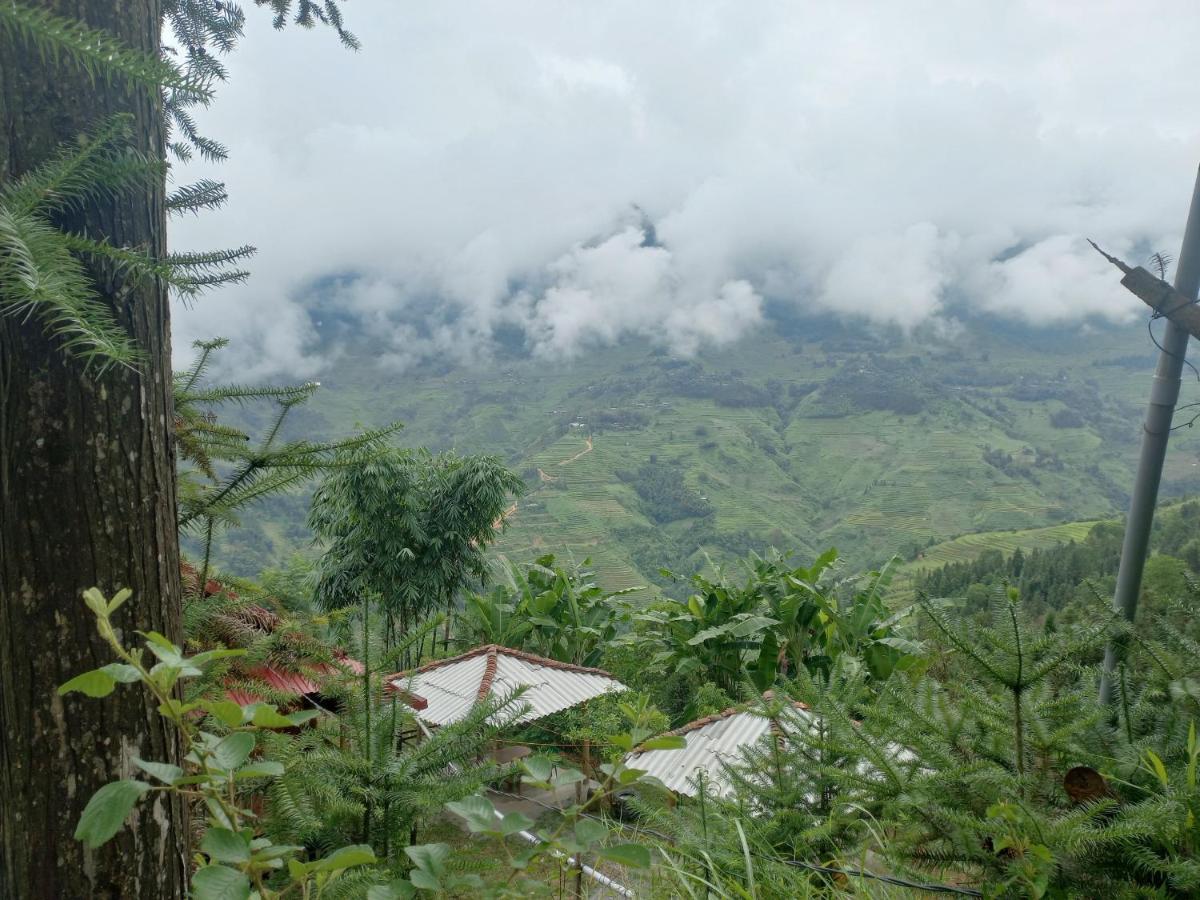 Hoang Vu * Ha Giang