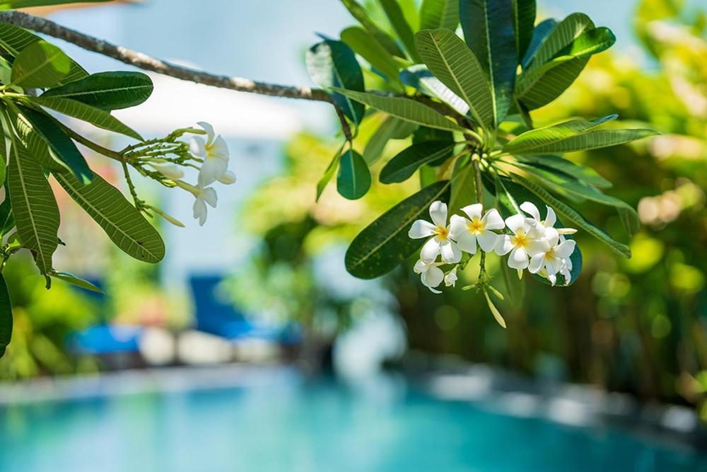 Coco Island Khách sạn Hội An