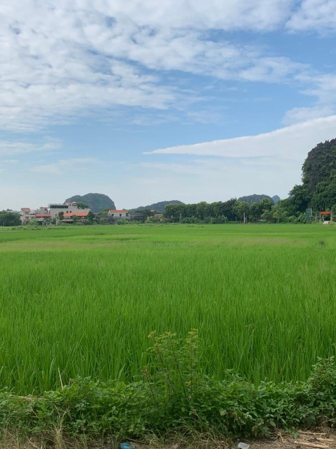 Tam Coc Wonderland 3*
