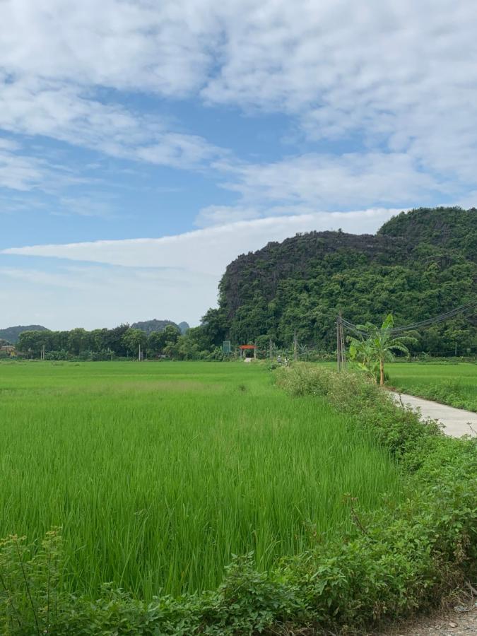 Hotel Tam Coc Wonderland Ninh Binh