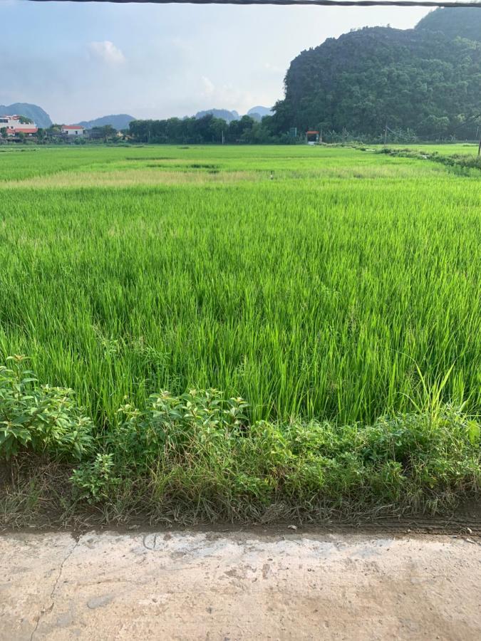 Tam Coc Wonderland Hotel 3*
