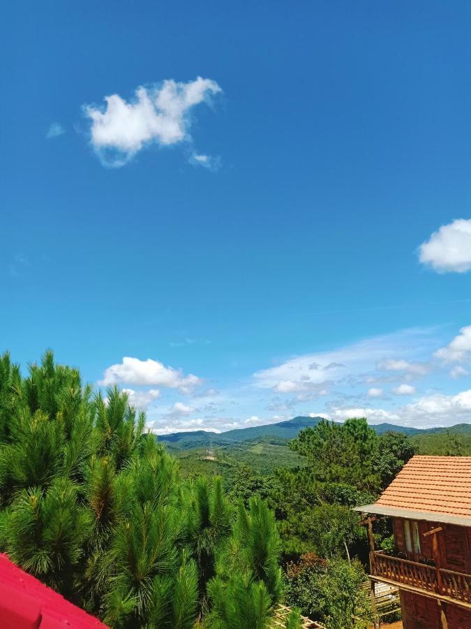 Paradiso Măng đen * Kon Von Kla