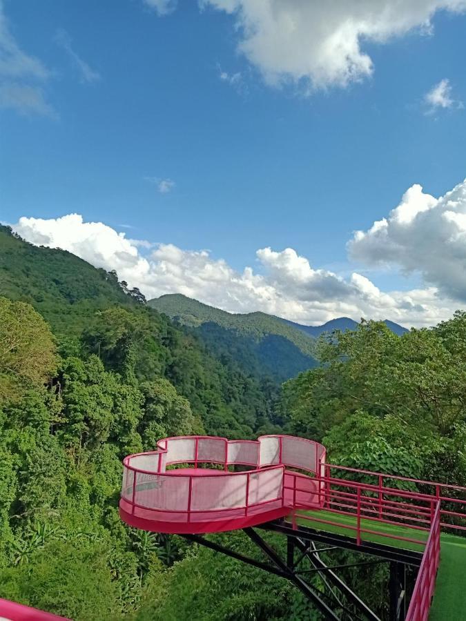 Trai Tim Hong