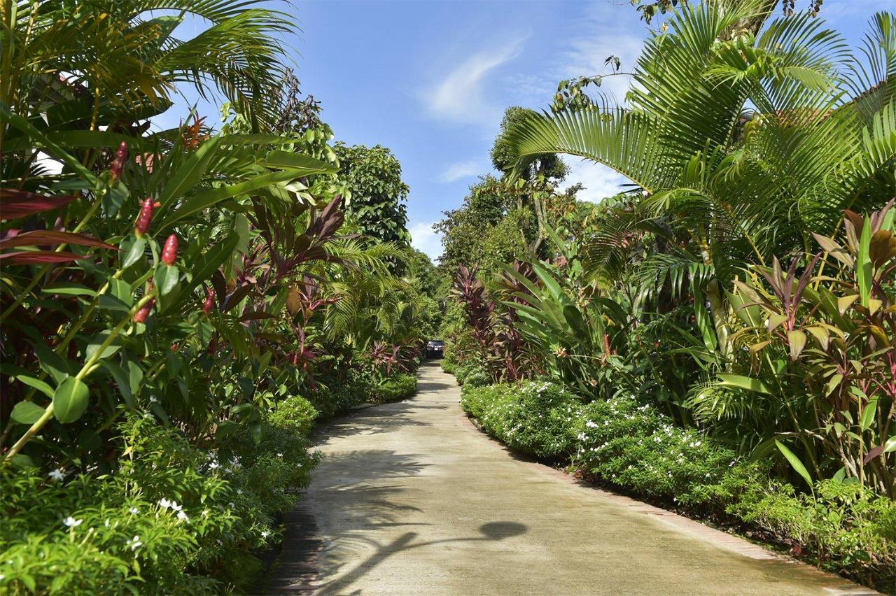 Resort Rainforest *