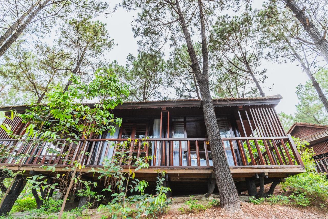 Sankofa Village Hill & Resort 5*